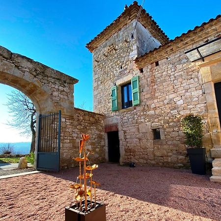 Domaine De Lejos - Portes D'Albi Lamillarié 外观 照片