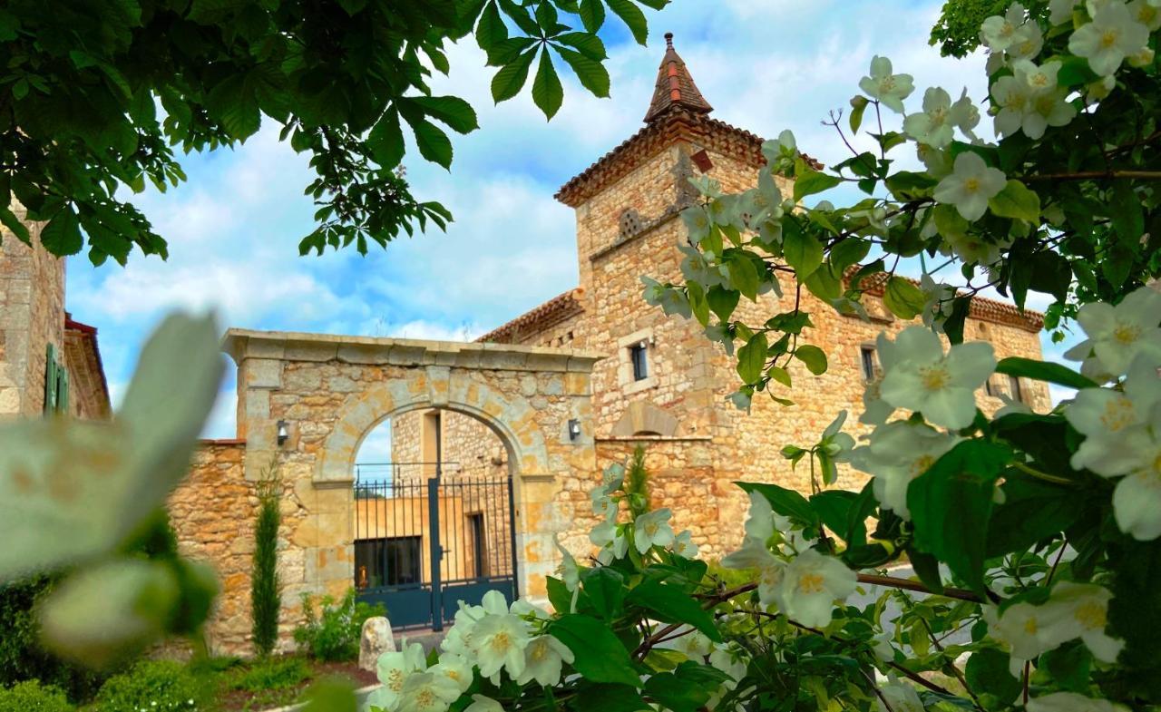 Domaine De Lejos - Portes D'Albi Lamillarié 外观 照片